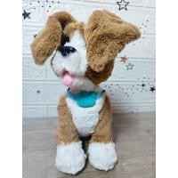 ราคา ตุ๊กตาสุนัขบีเกิลfurreal friend (43218375263)