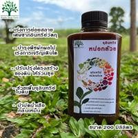 ราคา จุลินทรีย์หน่อกล้วย ขนาด 200 มิลลิลิตร คัดเกรดคุณภาพสูง (18537568681)