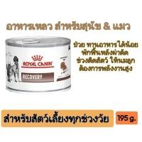 ราคา อาหารเหลวสำหรับสุนัขป่วย สำหรับแมวป่วย พักฟื้นหลังผ่าตัด ต้องการพลังงานสูง (25893104653)