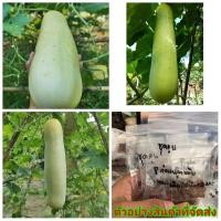 ราคา (ขาย เมล็ด) เมล็ด แตงกวาพันธุ์ดั้งเดิม แตงกวา happy (9215431487)