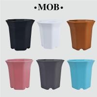 ราคา MOB กระถางทรงสูง 3 นิ้ว 8เหลี่ยมปากแตร ทรงแปดเหลี่ยมปากแตร ปากแตรญี่ปุ่น 8 เหลี่ยม กระถางแคคตัส กระถางขาว เนื้อหนา (11540312610)
