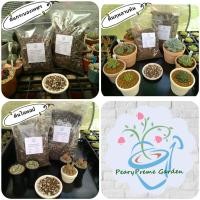 ราคา ดินปลูกกระบองเพชร/กุหลาบหิน/ไลทอป/ไม้อวบน้ำ สูตรพรีเมี่ยม (3885749052)