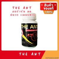 ราคา THE ANT 1 ขวด 50 กรัม ผงกำจัดมด ปลวก แมลงสาป ไม่มีกลิ่น (41458437770)