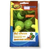 ราคา ซูกินี กลม (ประมาณ 10 เมล็ด) (480920972)