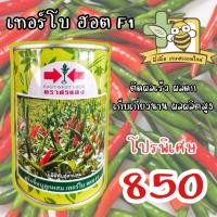 ราคา เมล็ดพริกขี้หนูลูกผสม เทอร์โบ ฮอท F1 (กระป๋อง 50 กรัม) #พริกฮอท (10282169838)
