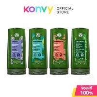 ราคา Yves Rocher Conditioner อีฟ โรเช ครีมนวดผม 200ml (Volume/Repair/Pure Detox/Anti-Hair Loss) (20593274144)