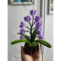 ราคา ดอกไม้กำมะหยี่ น่ารักตะมุตะมิ ราคาถูกมาก (47706358342)