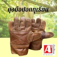 ราคา ถุงมือหนังรับทุเรียน รุ่นหนาพิเศษ ถุงมือปอกทุเรียนAE001light brow (14464584226)