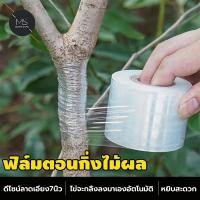 ราคา เทปพันกิ่งไม้ อุปกรณ์ทำสวน เทปพันตอนกิ่ง อุปกรณ์การเกษตร เทปพันกิ่งทาบ พลาสติกทาบกิ่ง เทปติดตาต้นไม้ฟิล์มยืด. (43760340503)
