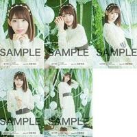 ราคา รูป ฟตซ Net Shop 06/2018 ของ มิยาวากิ ซากุระ (Miyawaki Sakura) วง IZ*ONE / IZONE (อดีตสมาชิกวง HKT48 / AKB48) (1801392703)
