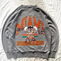 ราคา Vintage Taz Looney Tunes Sweatshirt scnd prlvd Sweatshirt การ์ตูน (24398200080)