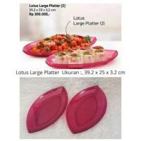 ราคา LOTUS จานขนาดใหญ่ - TUPPERWARE - จานก่อสร้าง - TUPPERWARE TRAY (56051279072)