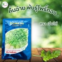 ราคา เมล็ดพันธุ์คื่นฉ่าย พันธุ์โพธิ์ทอง ตราเจียไต๋ ขนาด 50 กรัม (23765031997)
