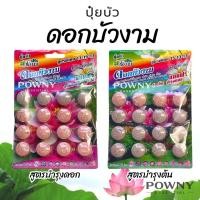 ราคา ปุ๋ยบัว ปุ๋ยบอน ปุ๋ยไม้น้ำ เร่งดอก เร่งโต เร่งใบ สีสวย น้ำไม่ขุ่น ปลาไม่ตาย ช่องาม Golden flower (5891031685)