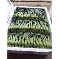 ราคา ยอดคะน้าฮ่องกง พร้อมส่ง เข้าใหม่สดๆทุกวัน รับประกันคุณภาพ (19049255397)