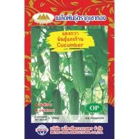 ราคา แตงกวา พันธุ์แตงร้าน (4303823430)