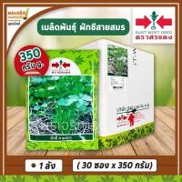 ราคา เมล็ดพันธุ์ผักชี ผักชีสายสมร 350 กรัม (ยกลัง 30 ซอง) เมล็ดผักชีศรแดง เมล็ดพันธุ์ยกลัง เมล็ดพันธุ์ผักสวนครัว ตราศรแดง (12506452091)