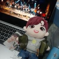 ราคา ตุ๊กตาผ้ากํามะหยี่ ด๊อบบี้ (42171728334)