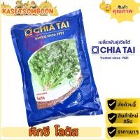 ราคา ผักชี โลตัส เมล็ดพันธุ์ ตราเจียไต๋ ขนาด 300 กรัม (44859686399)