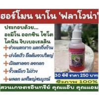 ราคา ฮอร์โมน นาโน ฟลาโวน่า ขนาด 30ซีซี เร่งราก ขยายโครงสร้าง เร่งราก แตกกิ่ง เร่งดอก เปิดตาดอก เร่งผล ขั้วเหนียว (13219422536)