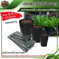 ราคา ถุงเพาะชำสีดำ บรรจุ 0.5 กก. (ครึ่งกิโลกรัม) เจาะรู ถุงดำเพาะต้นไม้ ถุงเพาะเมล็ด ( มีหลายขนาดให้เลือก ) ถุงเพาะ (6751277221)