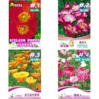 ราคา เมล็ด ดอกป๊อปปี้ คละสี 50 เมล็ด / 100 เมล็ด California poppy / Iceland poppy เมล็ดพันธุ์นำเข้า (19513992483)
