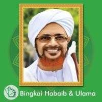 ราคา (16 รหัส) กรอบรูป Haib Umar Bin Hafidz 03 ขนาด 30x40ซม (45410412028)