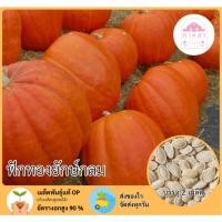 ราคา เมล็ดพันธุ์ฟักทองยักษ์กลม 2 เมล็ด (51903767237)