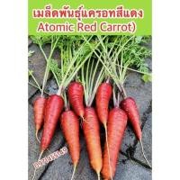 ราคา เมล็ดพันธ์ุแครอทสีแดง(Atomic Red Carrot)เมล็ดแท้สีสวย (14622098928)