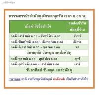 ราคา ✵∋✘(ขายยกลัง) ผ้าอ้อมเบบี้เลิฟ เดย์&ไนท์ [BabyLove DayNight 1*6] (12639774051)