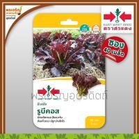 ราคา เมล็ดพันธุ์ผักสลัด ผักสลัดคอส รูบีคอส (แบบซอง 40 เมล็ด) เมล็ดผักคอสแดง เมล็ดสลัดคอสม่วง เมล็ดพันธุ์ผักสวนครัว ตราศรแดง (14068560549)