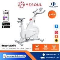 ราคา YESOUL จักรยานปั่นออกกำลังกาย รุ่น M1