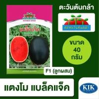 ราคา เมล็ดพันธุ์ ตะวันต้นกล้า แตงโม แบล็คแจ็ค ABS BIG (ซอง) ขนาด 40กรัม (28934754547)