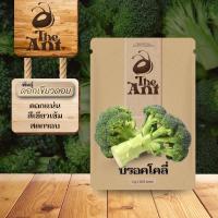 ราคา เมล็ดพันธุ์บร็อคโคลี่ ดอกเขียวดอย เมล็ดพันธุ์ออร์แกนิค ปลูกผักเอง สวนผัก ชุดปลูกผัก (55756764373)
