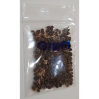 ราคา ซื้อ 1 ชุดแถม 1 ชุดเมล็ดดาหลา Torch ginger เวชสำอาง น้ำดอกดาหลา น้ำมันดาหลา สบู่ดอกดาหลา ชาดอกดาหลา 50 เมล็ดแถม 50 เมล็ด (7531365087)