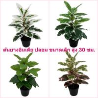 ราคา ต้นยางอินเดียปลอมพร้อมกระถาง ต้นไทรใบสักปลอม ต้นไม้ประดิษฐ์ ต้นไม้ตกแต่ง (27487541185)