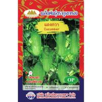 ราคา เมล็ดพันธ์ุ แตงกวา 50 เมล็ด/ซอง ตราภูเขาทอง (5409014886)