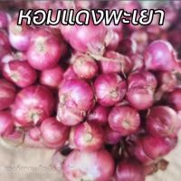 ราคา หอมแดงมัดจุกพะเยา1กิโล (16133362330)