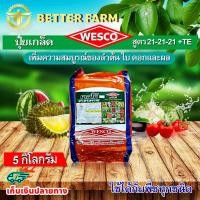 ราคา บรรจุ 5 กิโลกรัม WESCO ปุ๋ย 21-21-21 +TE(ธาตุรองเสริม) ปุ๋ยเกล็ด เวสโก้ เพิ่มความสมบูรณ์ของลำต้น ใบ ดอกและผล (3717238335)