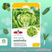 ราคา บัตเตอร์เฮด เบลล่ากรีน ศรแดง (Butterhead Lettuce) เมล็ดพันธุ์ ผักสลัด (20283631230)