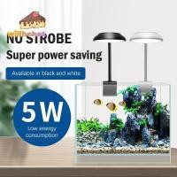 ราคา [Willbehot-t] ตู้ปลาแบบหนีบไฟตู้ปลาไฟลูกปัด LED การหมุน 360 องศาปลั๊ก USB 5W [ใหม่] (56758045697)