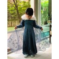ราคา ชุดเดรสเจ้าหญิง เอลซ่า - Disney Elsa Frozen มือสองสภาพดี (15696994294)