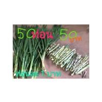 ราคา หญ้าเนเปียร์ ท่อนละ1บาท (7234944398)