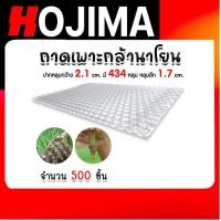 ราคา ถาดเพาะกล้านาโยน 434 หลุม แพ็ค 500 ชิ้น ถาดเพาะต้นข้าว ถาดเพาะนาโยน เพาะกล้าข้าว ถาดนาโยน ถาดเพาะกล้า (29752013490)