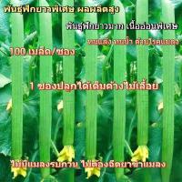ราคา เมล็ดฟักยาวพิเศษ เนื้ออ่อน ผลผลิตสูง ทนแล้ง ทนน้ำ ต้านโรคแมลง ปลูกง่าย 100เมล็ด/ซอง (56561784952)