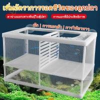 ราคา ตาข่ายเเยกปลา กล่องแยกเลี้ยงปลา ฟักไข่ปลา สำหรับพันธุ์ปลาต่อสู้ แยกลูกกุ้ง และแยกปลาที่กำลังป่วย (43530876199)