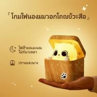 ราคา โคมไฟกลางคืนแมวน้อยขี้อาย เซ็นเซอร์อัตโนมัติ ไฟหัวเตียง LED แสงนุ่มนวล ดีไซน์ 3D น่ารัก ของขวัญวันเกิด ของขวัญเด็ก ตกแต่ (51707790676)