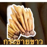 ราคา กระชายสด กระชายขาว สดใหม่ทุกวัน (พร้อมส่ง) 500กรัม,1 กิโลกรัม (6288936774)