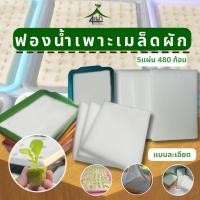 ราคา ฟองน้ำสำหรับเพาะเมล็ด แบบละเอียด (1 แผ่นมี 96 หลุม) สำหรับปลูกผักไฮโดรโปนิกส์ - เกษตรกรรมยั่งยืน (22657552534)