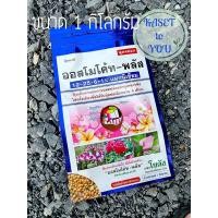 ราคา ออสโมโค้ทพลัส สูตร 12-25-6+1% magnesium ปุ๋ยละลายช้า สูตร 6 เดือน ขนาด 1 กิโลกรัม แบบซอง รุ่นใหม่ผลิตปี 2564 (13102916682)